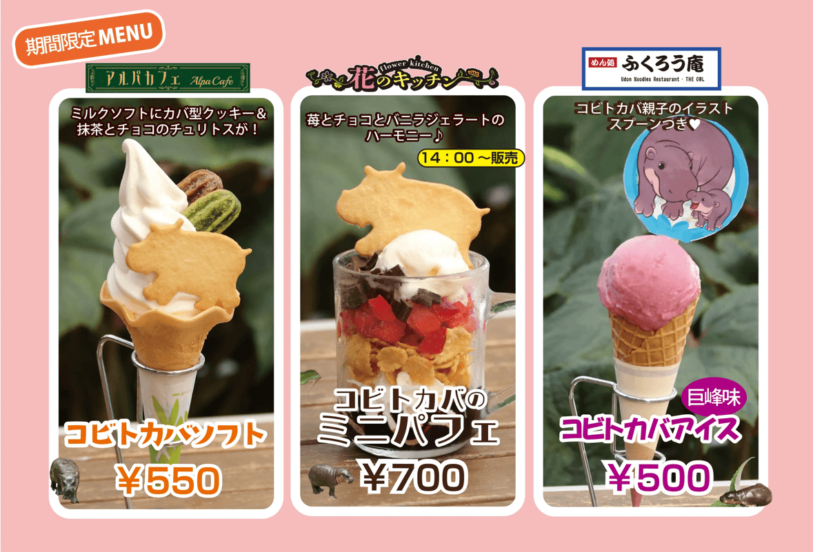 Animal kingdom banner