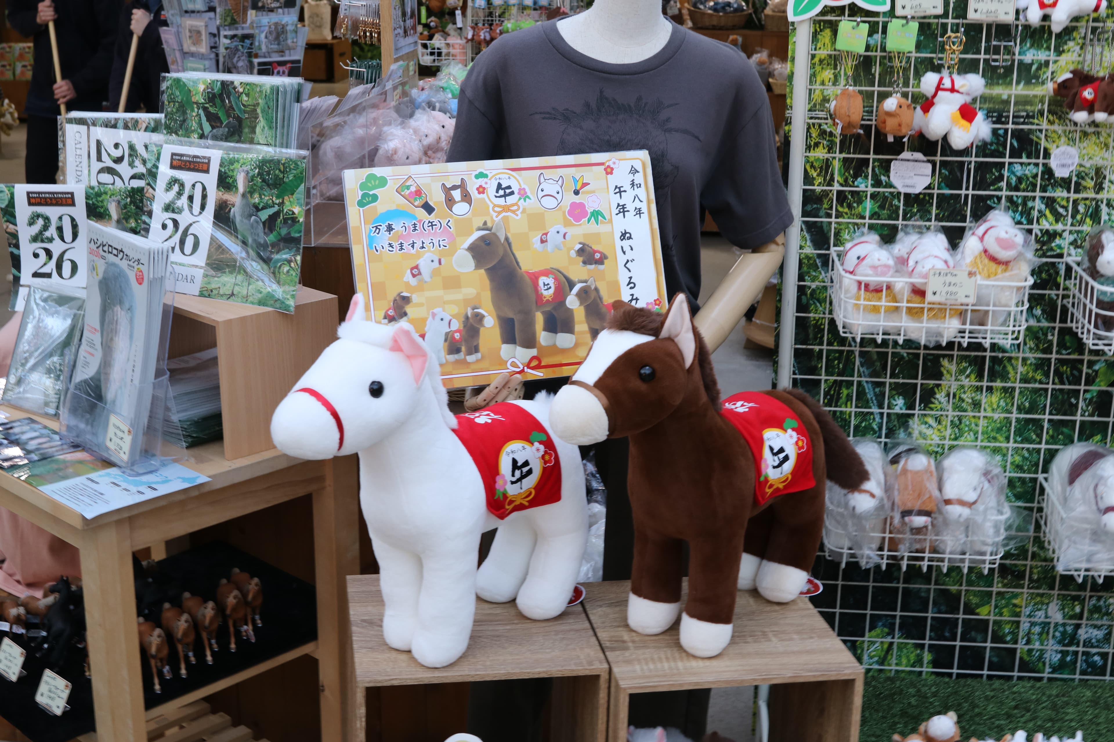 Animal kingdom banner