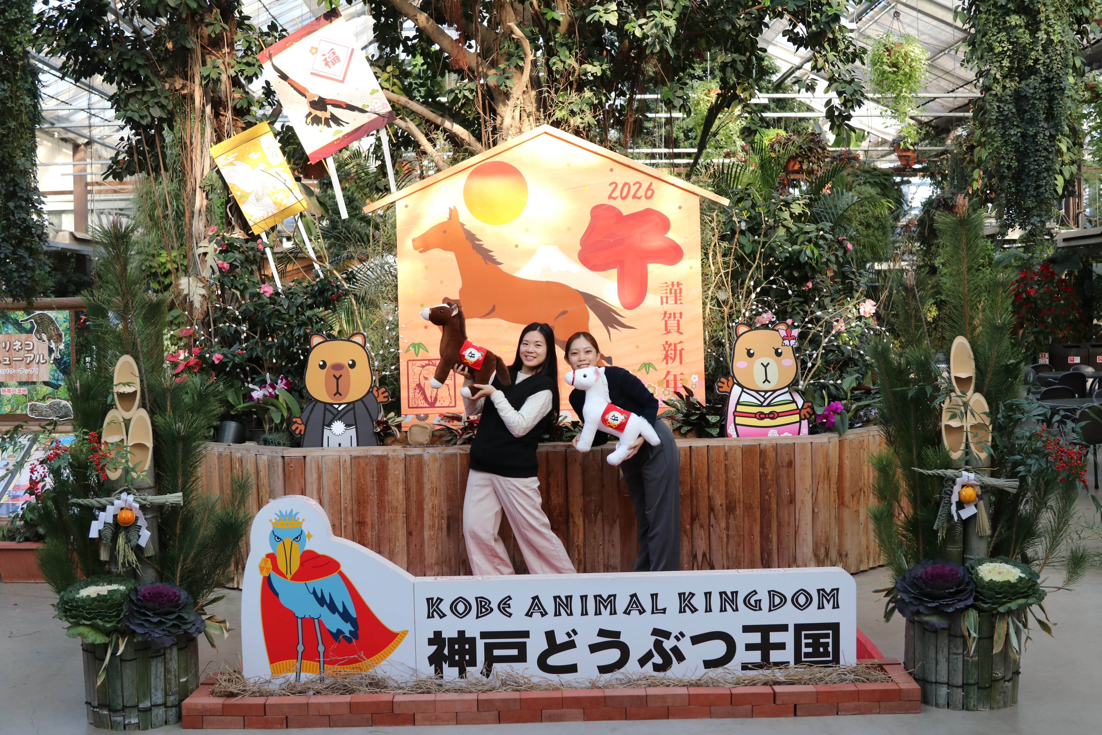 Animal kingdom banner