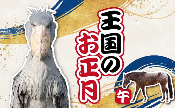 Animal kingdom banner