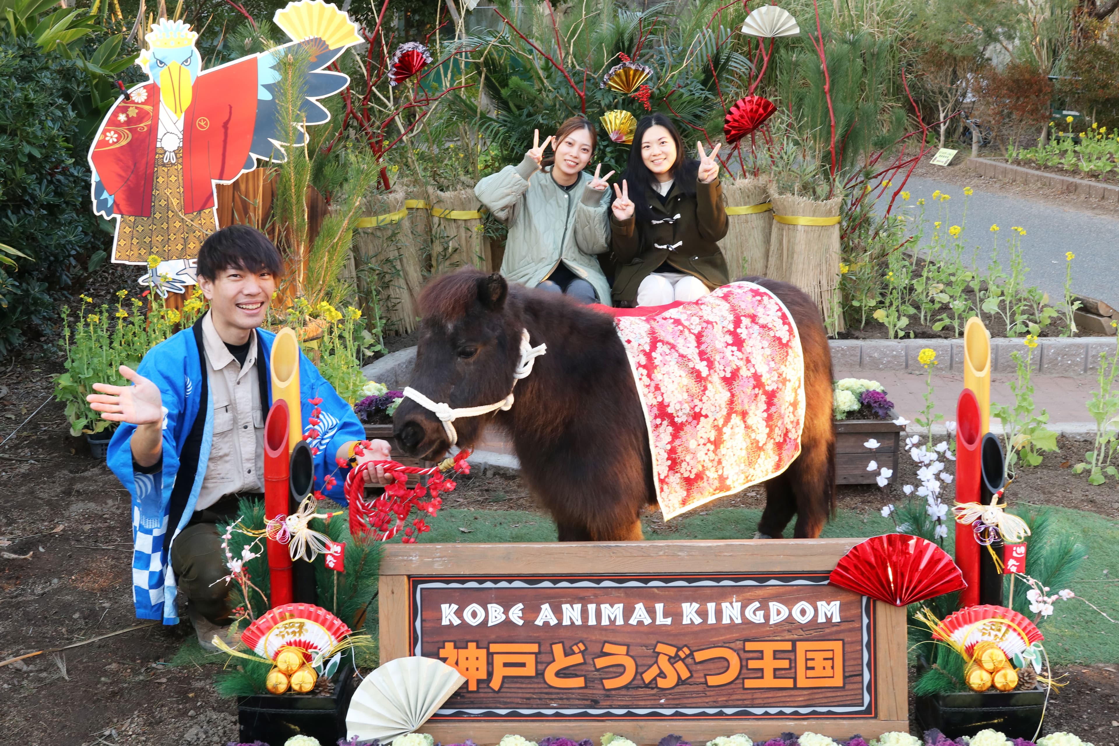 Animal kingdom banner