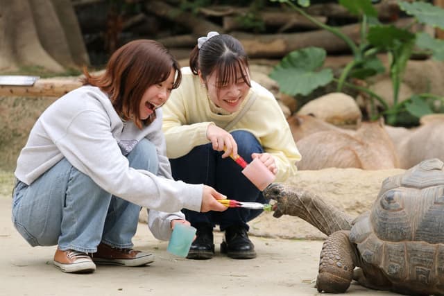 Mara & Tortoise Feeding