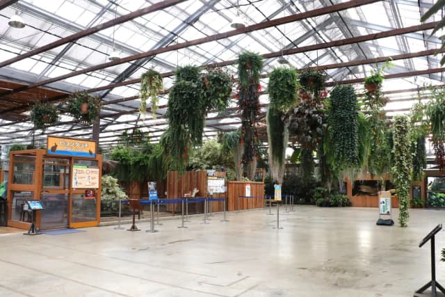 Contact Animals (North Area)