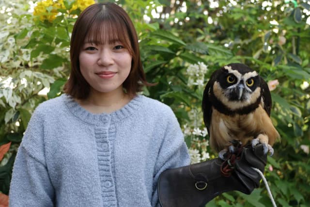 フクロウ腕のせ