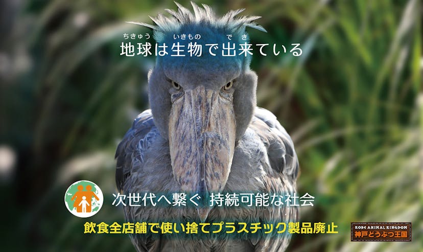 Conservation eyecatch