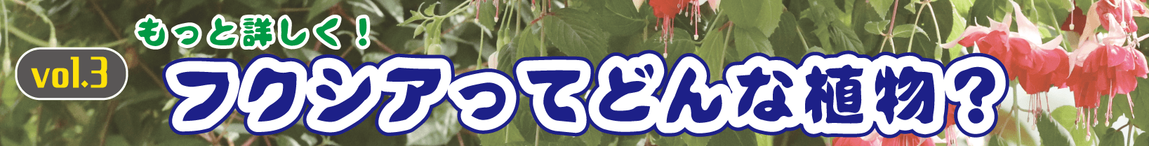 Animal kingdom banner