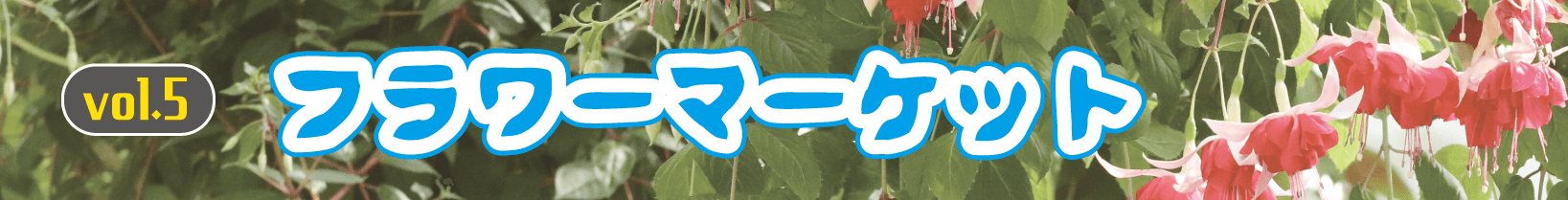 Animal kingdom banner