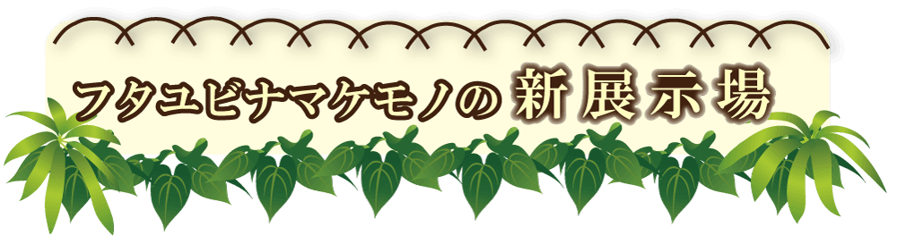 Animal kingdom banner