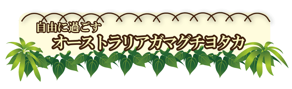 Animal kingdom banner