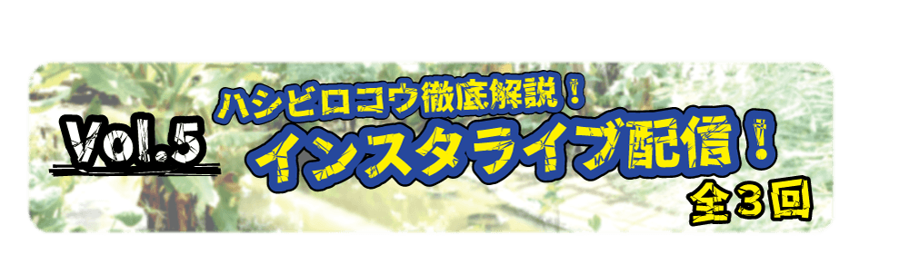 Animal kingdom banner