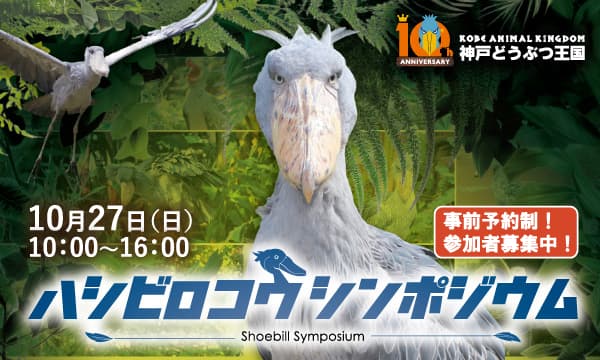 Animal kingdom banner