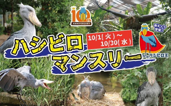 Animal kingdom banner