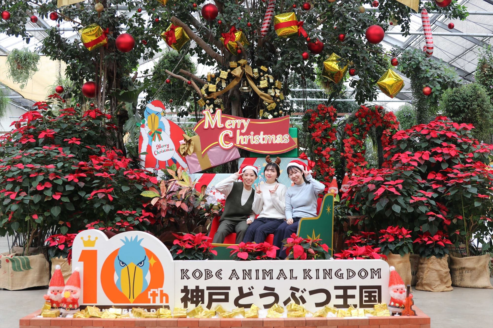 Animal kingdom banner