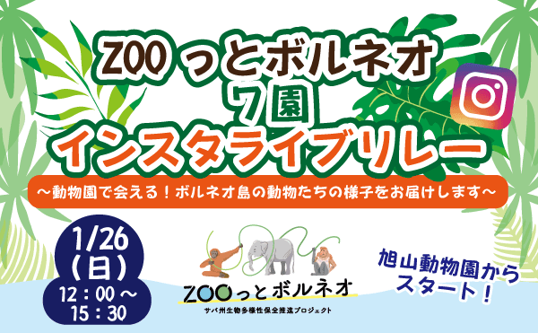 Animal kingdom banner