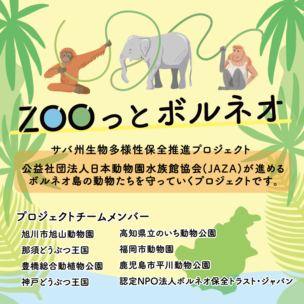 Animal kingdom banner