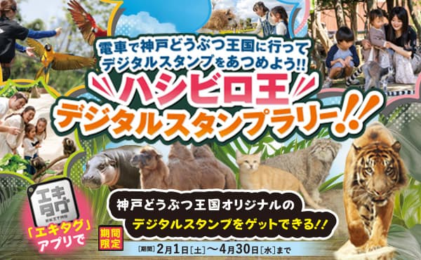 Animal kingdom banner