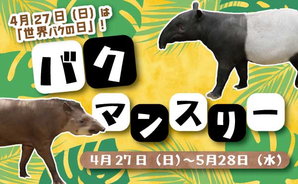 Animal kingdom banner