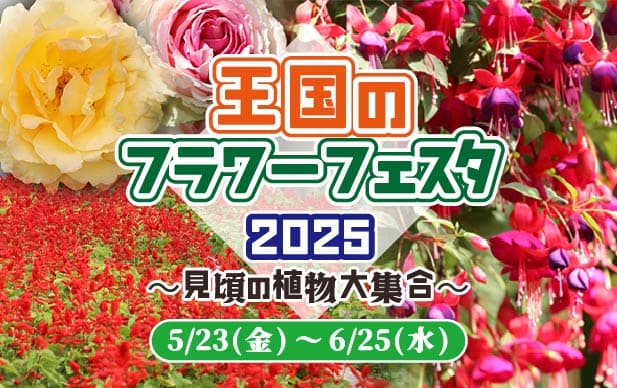 Animal kingdom banner