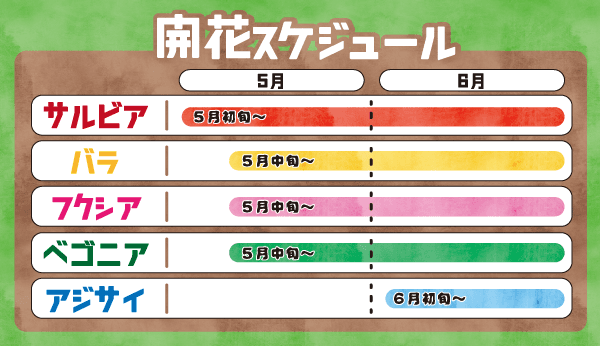 Animal kingdom banner