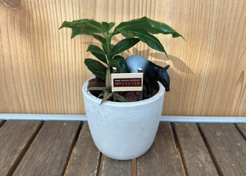 Animal kingdom banner