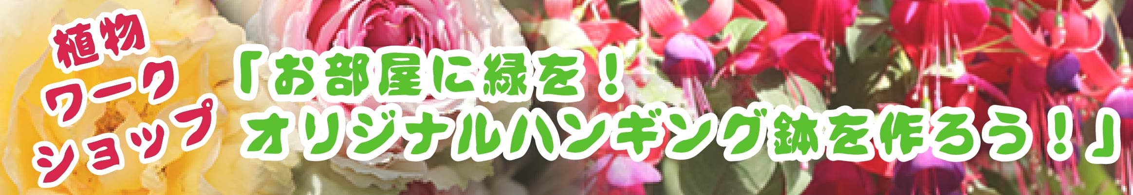 Animal kingdom banner