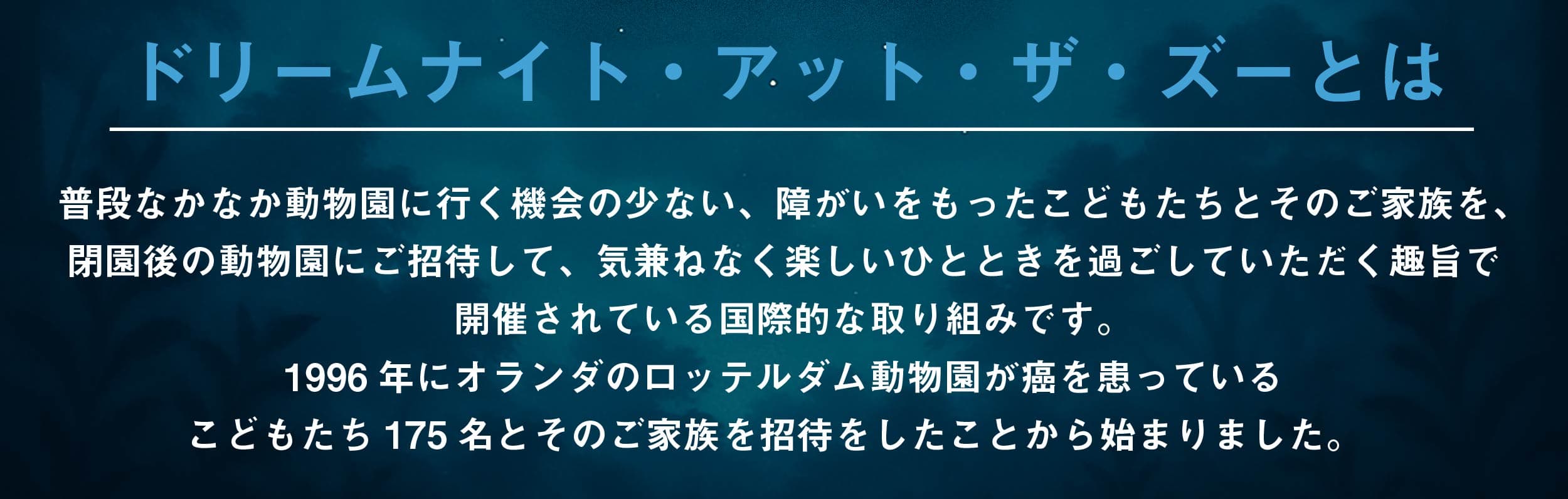 Animal kingdom banner