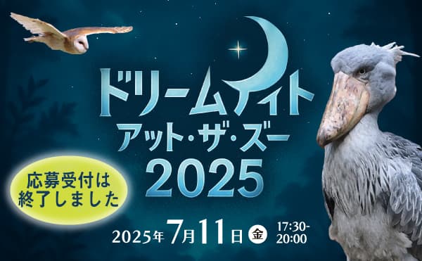 Animal kingdom banner