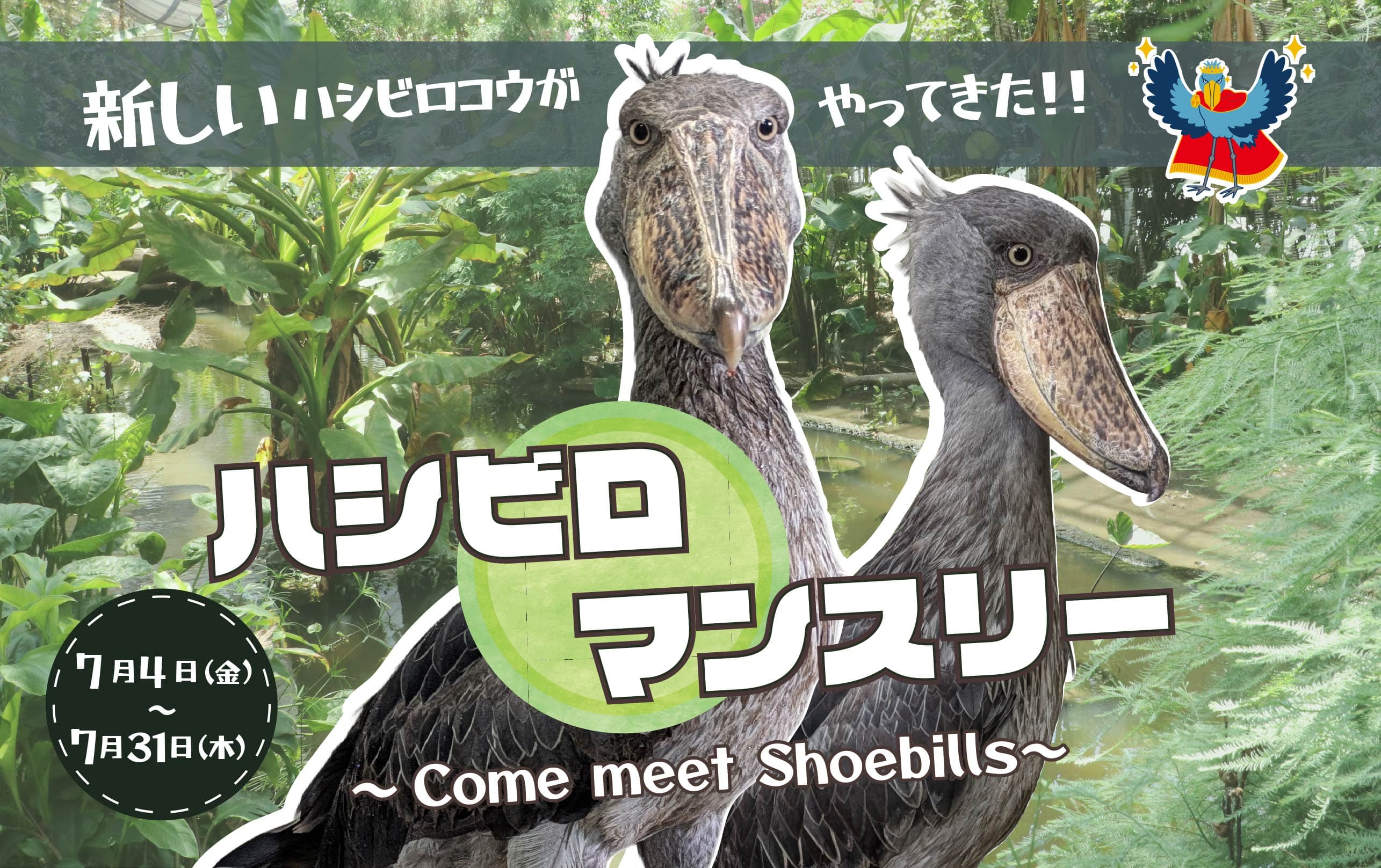 Animal kingdom banner