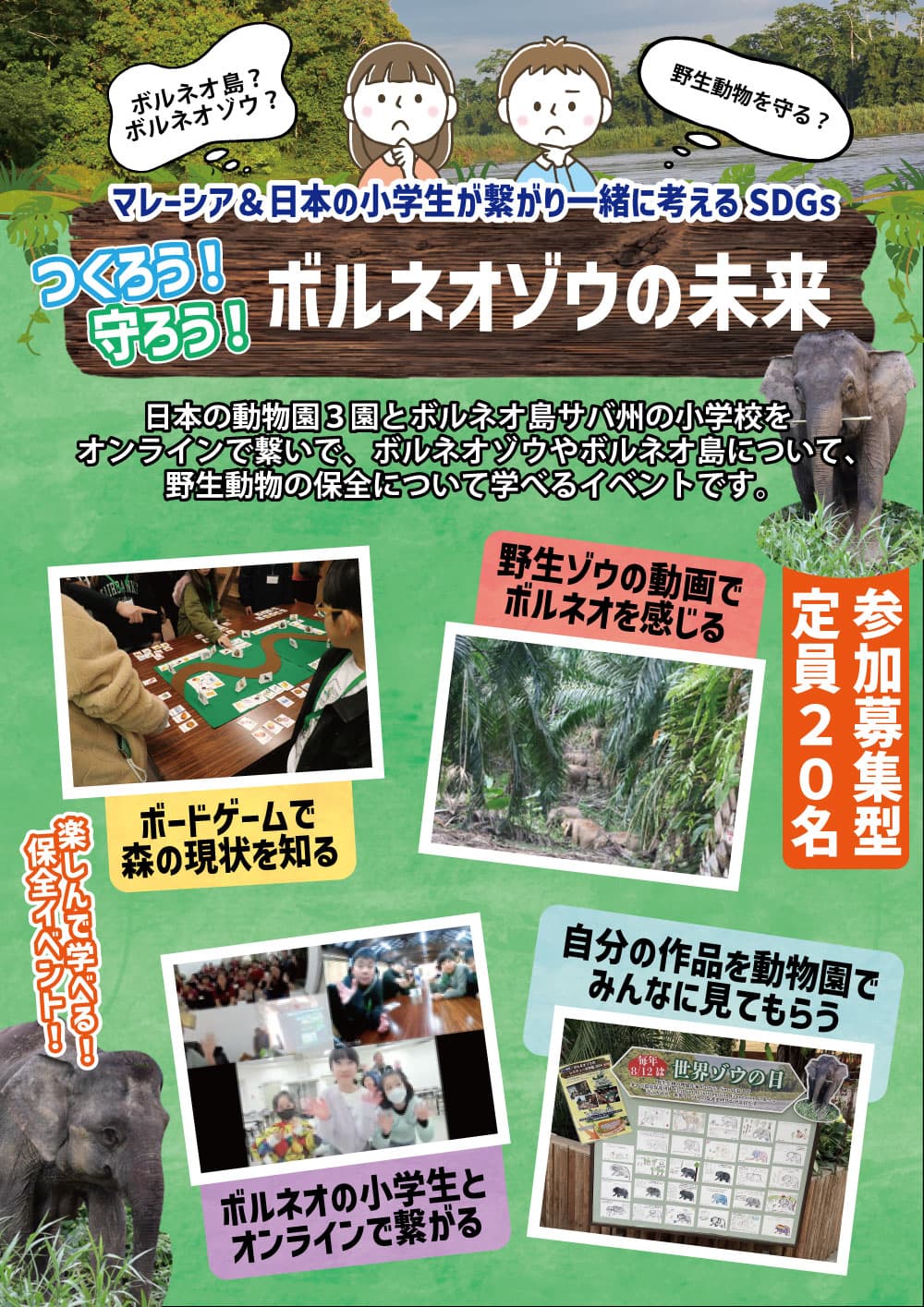 Animal kingdom banner