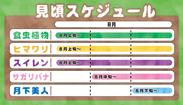 Animal kingdom banner