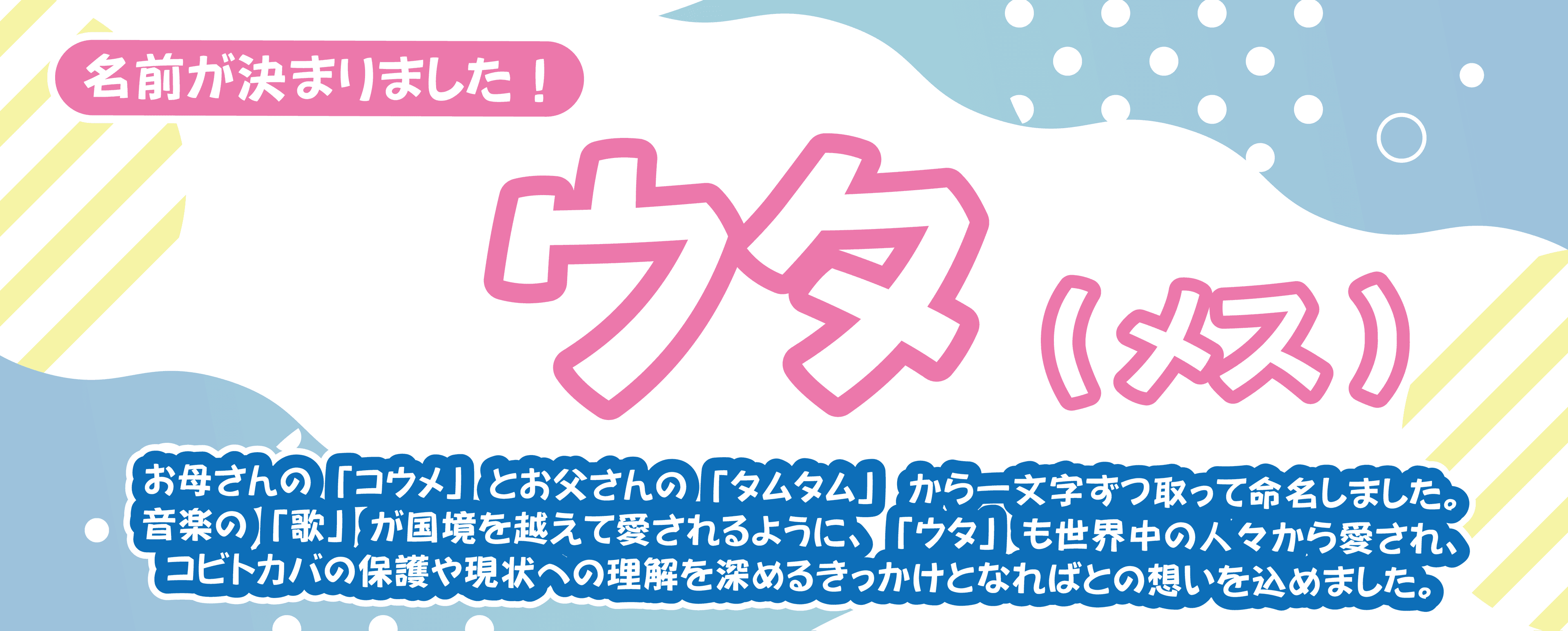 Animal kingdom banner