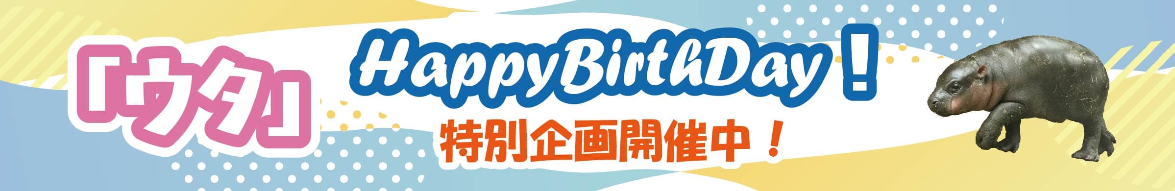 Animal kingdom banner