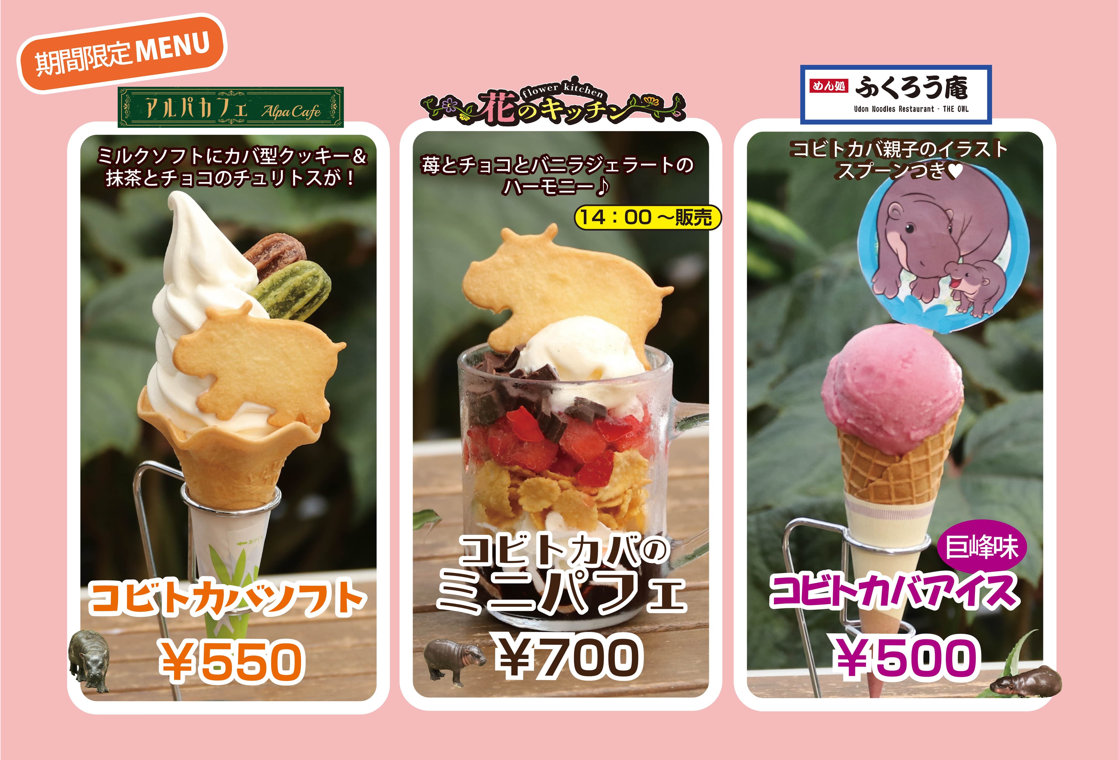 Animal kingdom banner