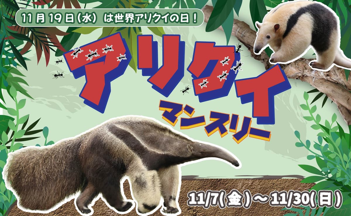 Animal kingdom banner