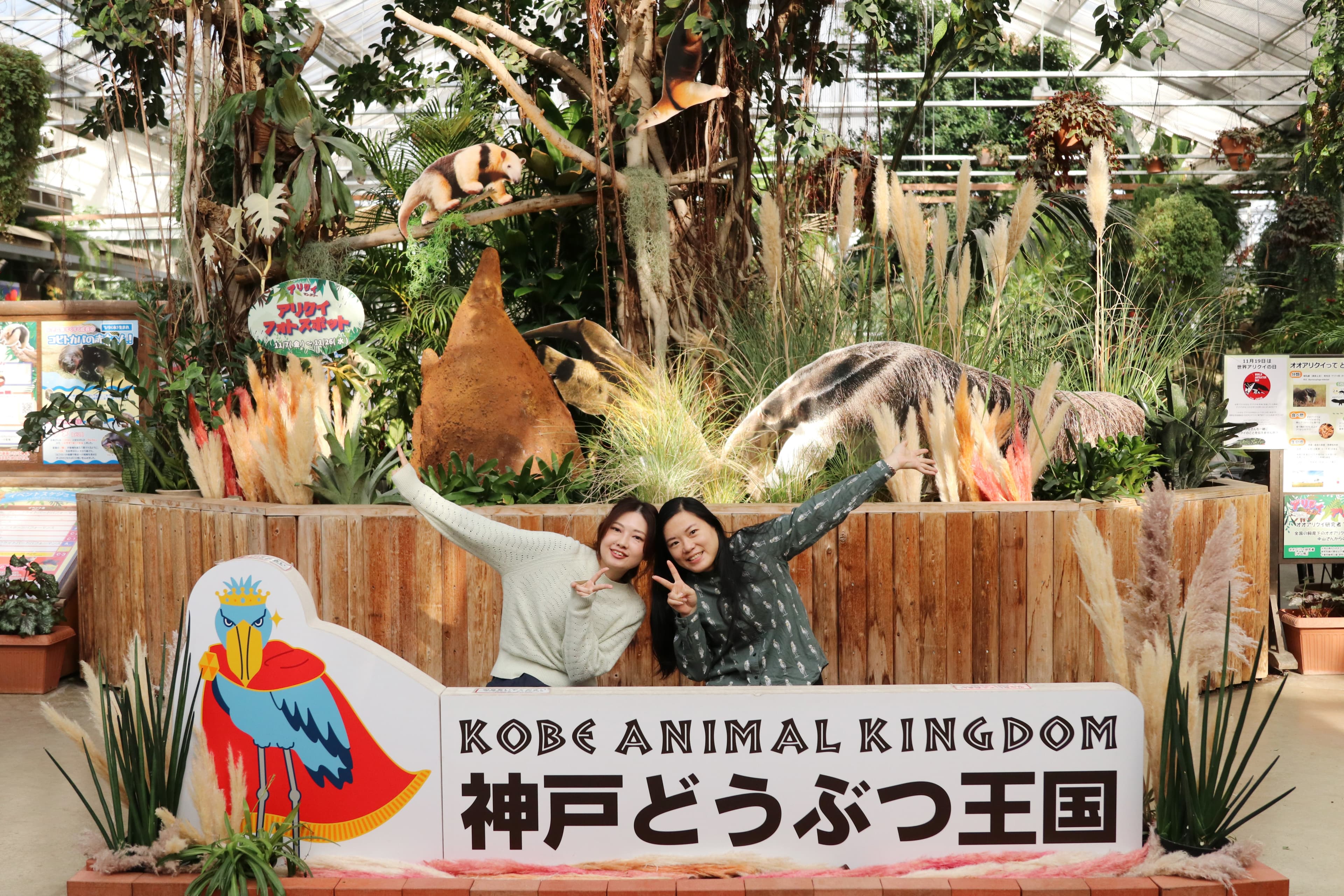 Animal kingdom banner