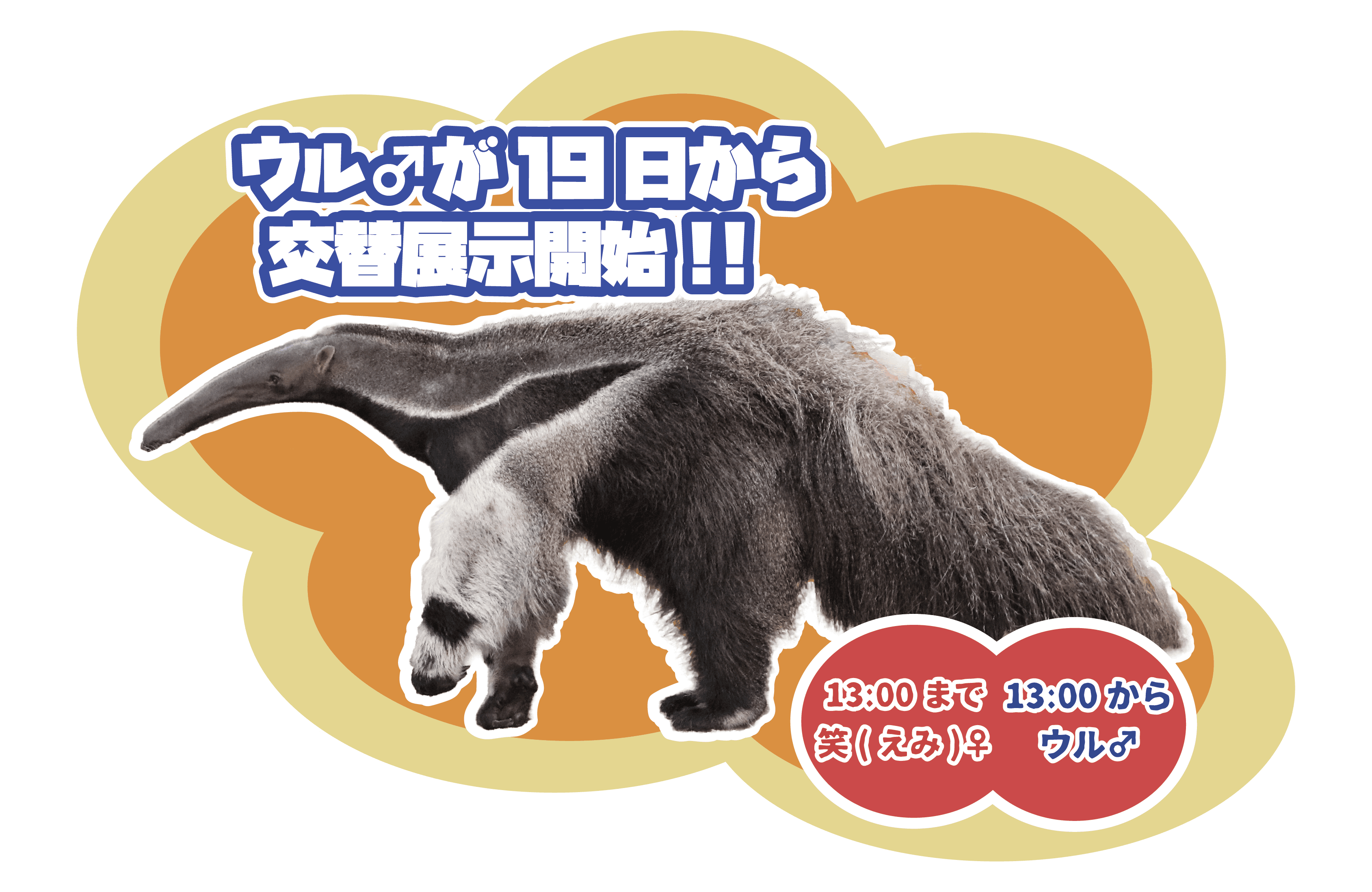 Animal kingdom banner