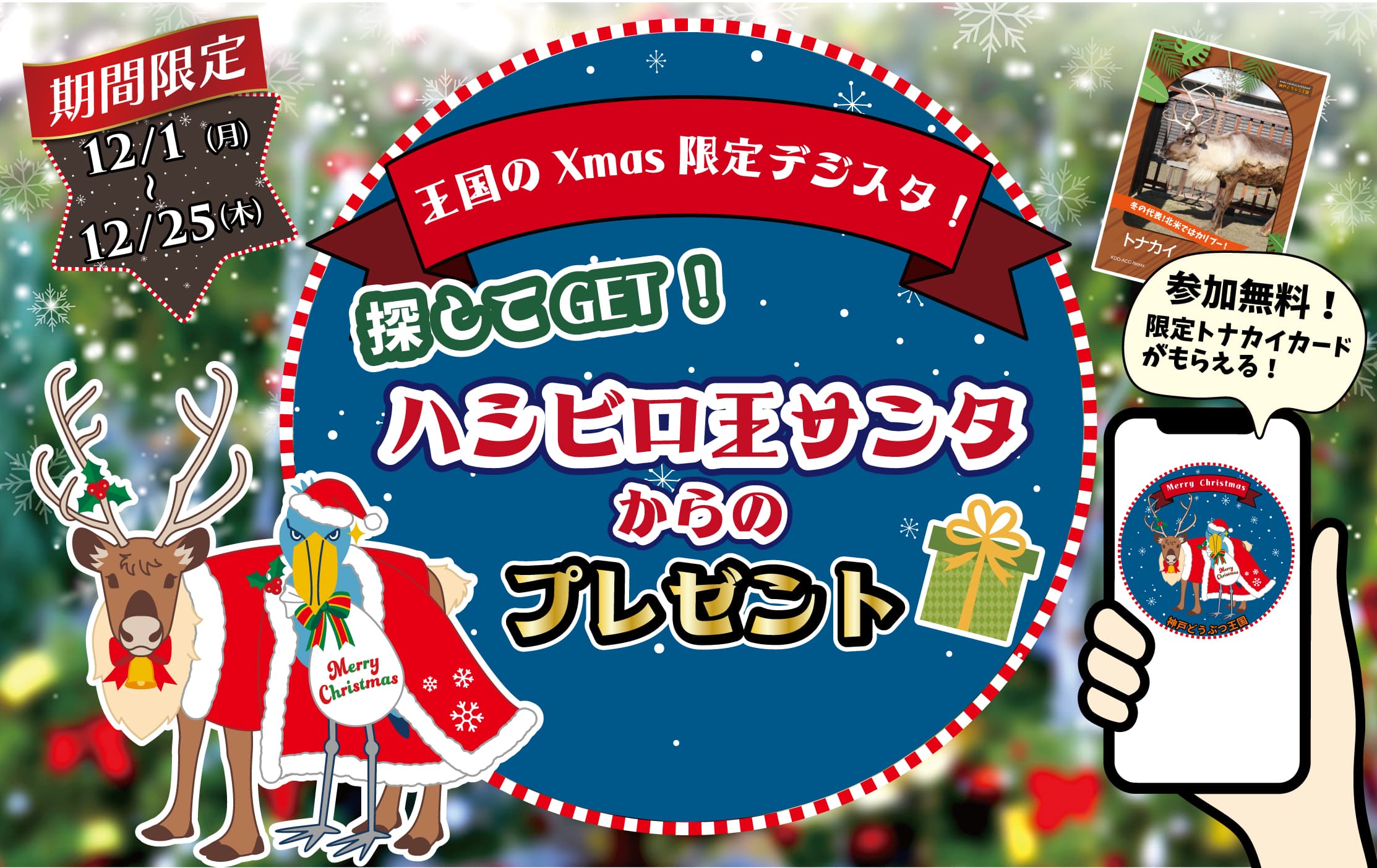 Animal kingdom banner