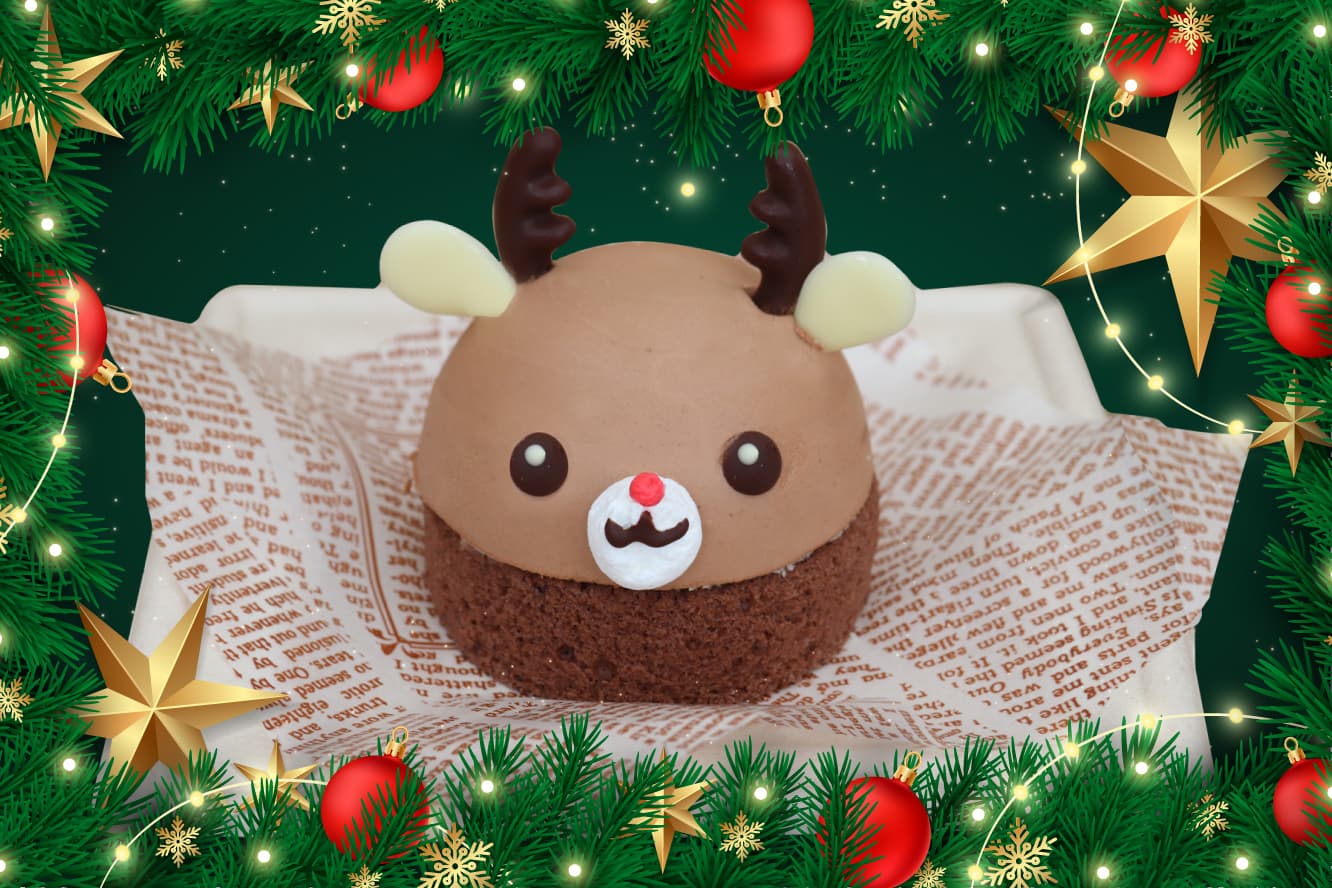 Animal kingdom banner