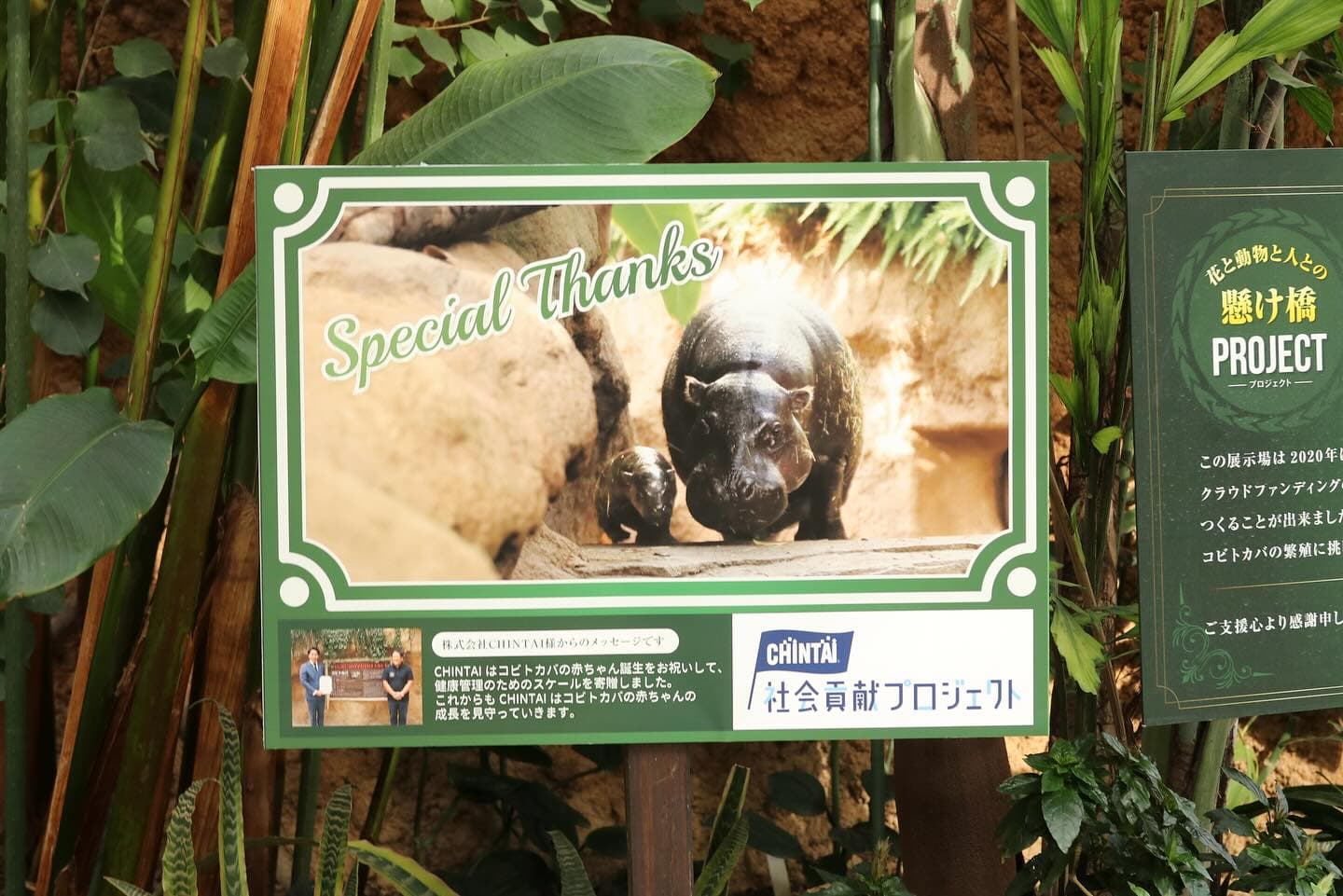 Animal kingdom banner