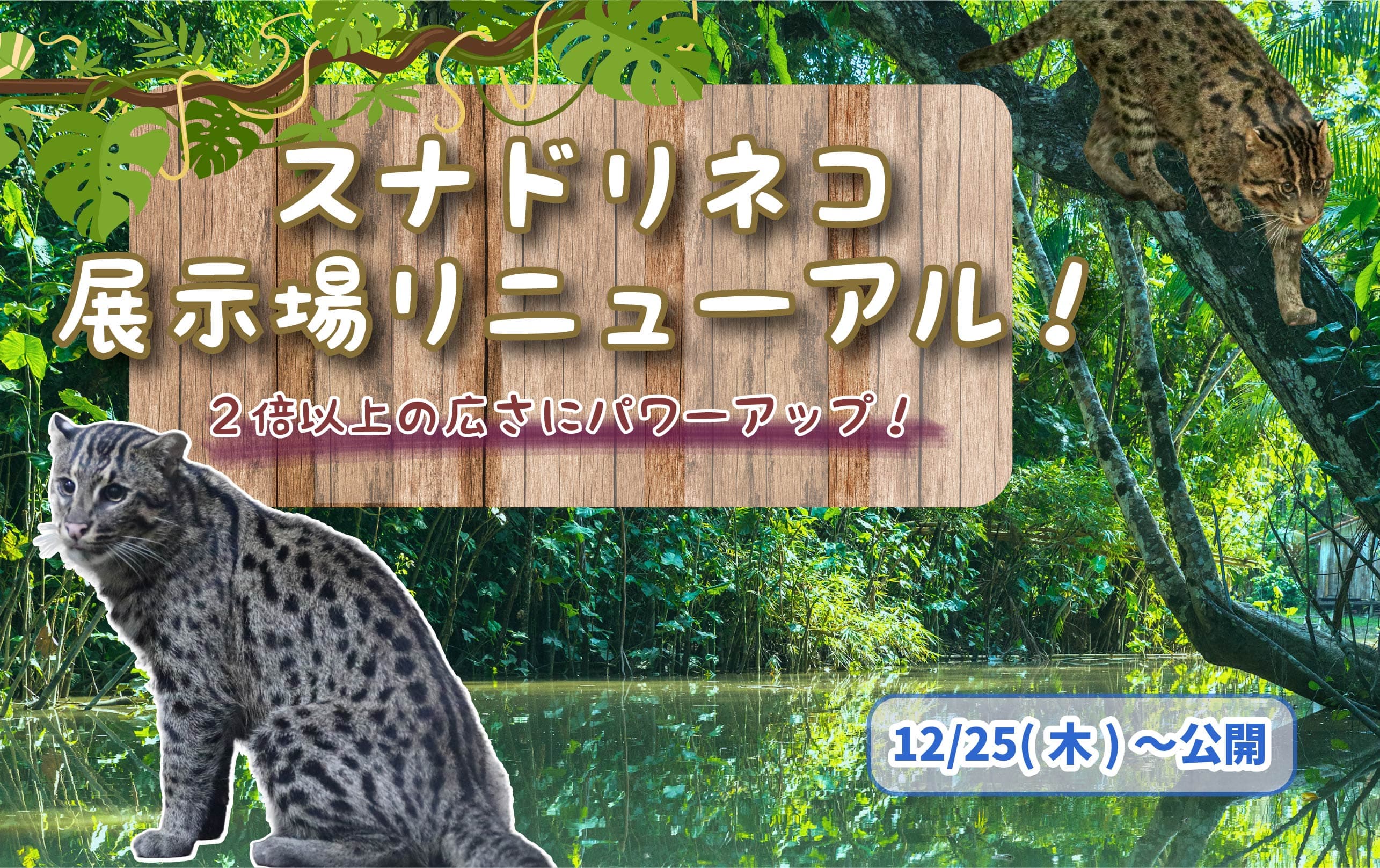 Animal kingdom banner