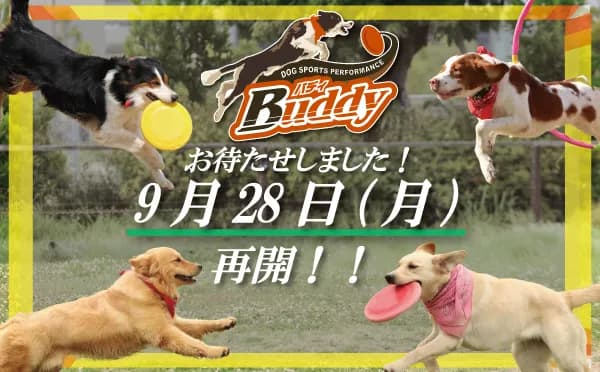 "Buddy(バディ)~ドッグスポーツパフォーマンス~"ついに再開!