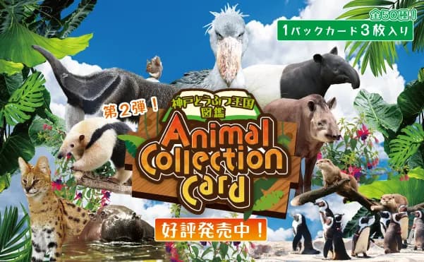 人気につき第2弾!「神戸どうぶつ王国図鑑 Animal Collection Card 第2弾」発売中!