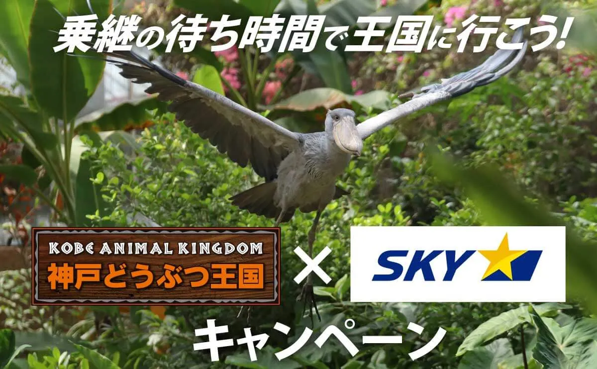 「神戸どうぶつ王国×スカイマーク・キャンペーン」2026年度夏ダイヤ期間(2026年3月29日~2026年10月24日)も継続!