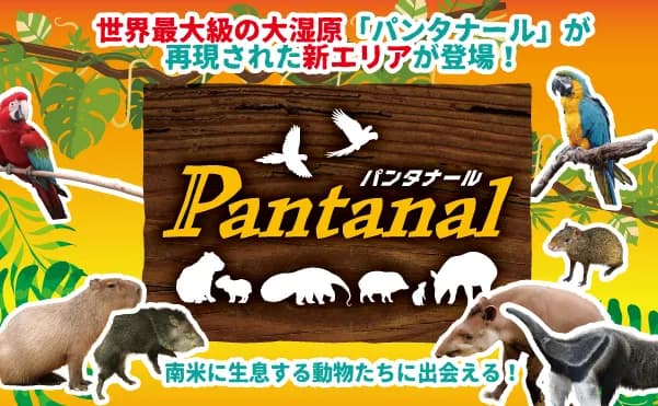 南米に生息する動物たちに出会える「Pantanal~パンタナール~」
