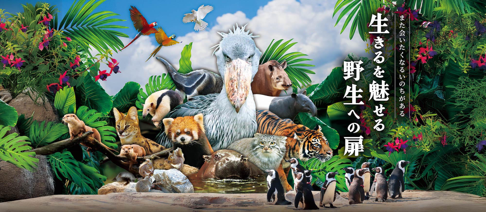 Animal kingdom banner