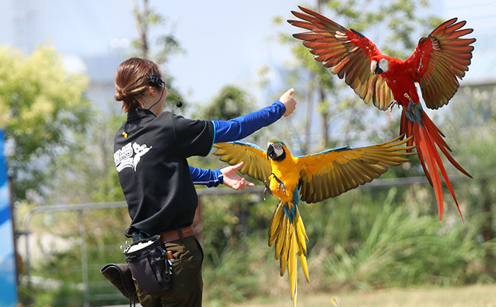 動物王国のロゴ