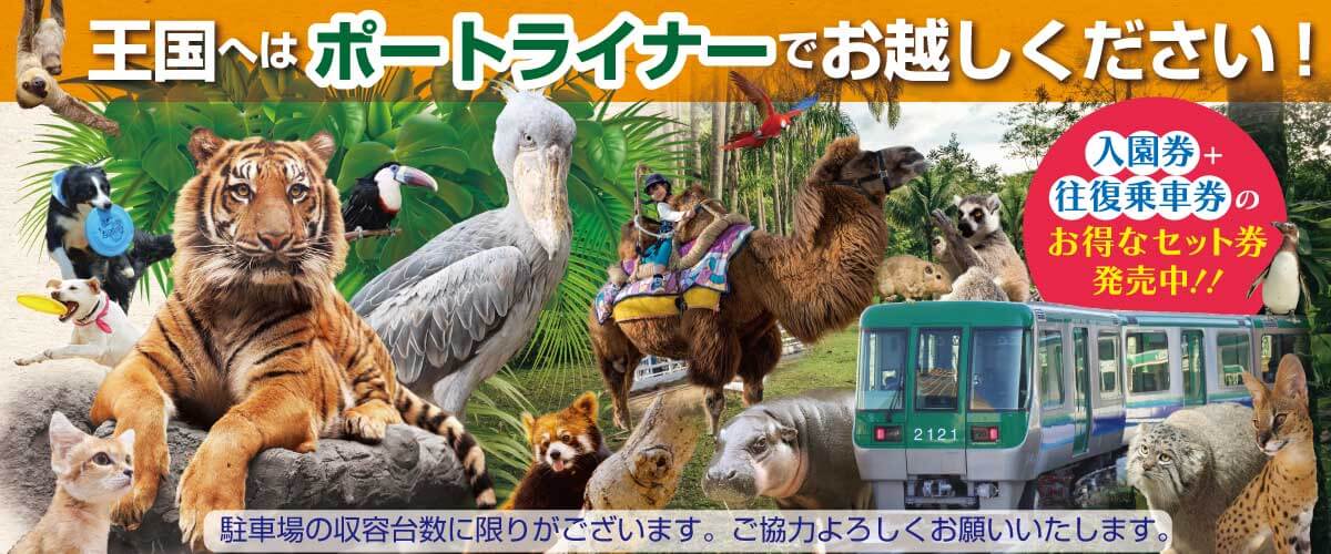 神戸どうぶつ王国